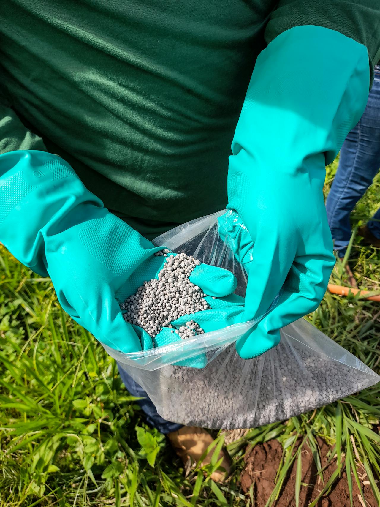 Agronomic Advice and Soil Fertility Management