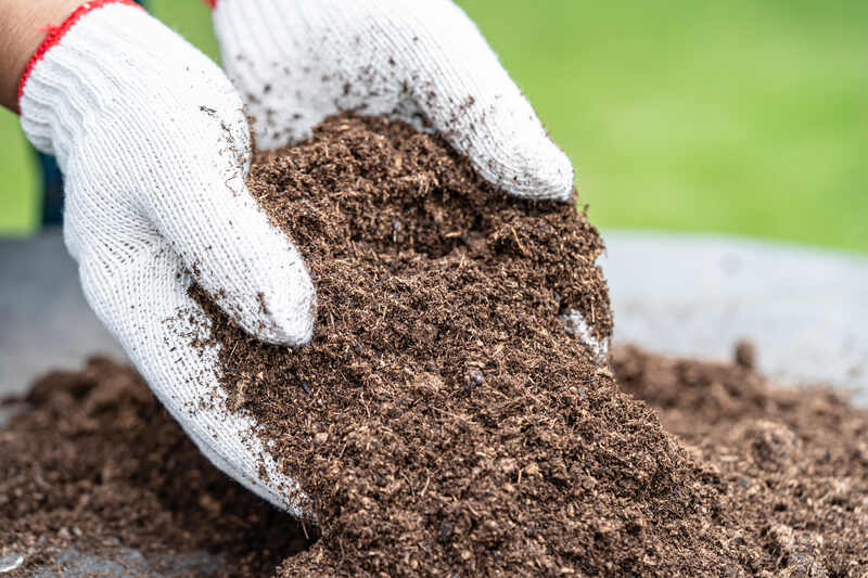 Soil Amendment