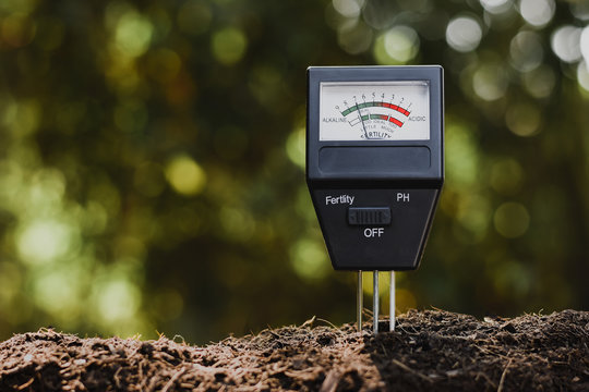 Soil Micro Analysis